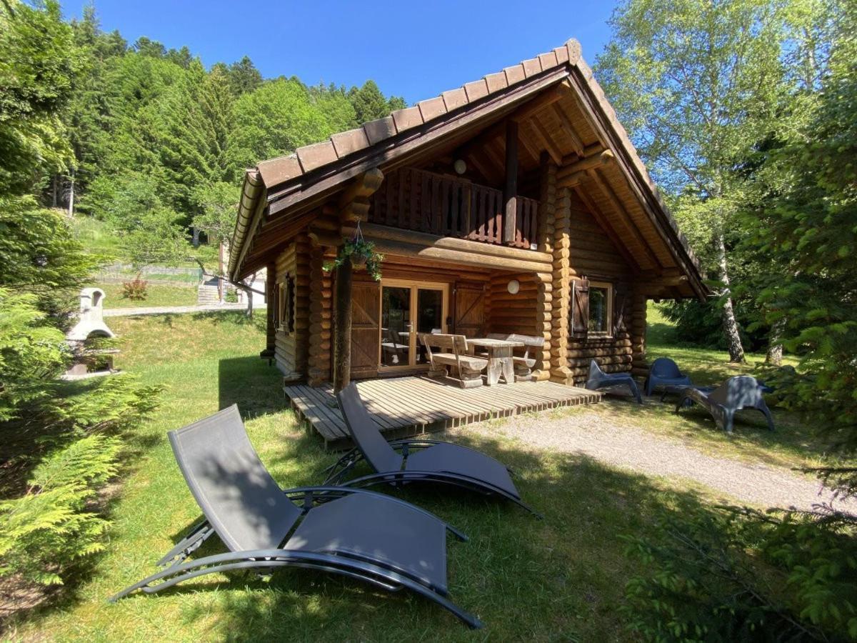 L'ours Noir En Rondins Chalet *