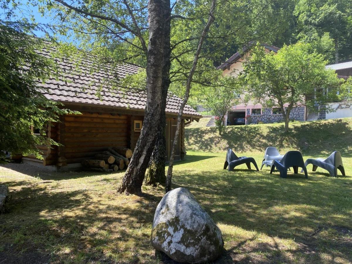 Chalet L'ours Noir En Rondins *